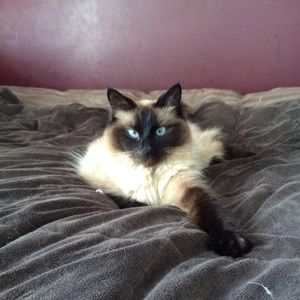 Meet your Posher, Michelle